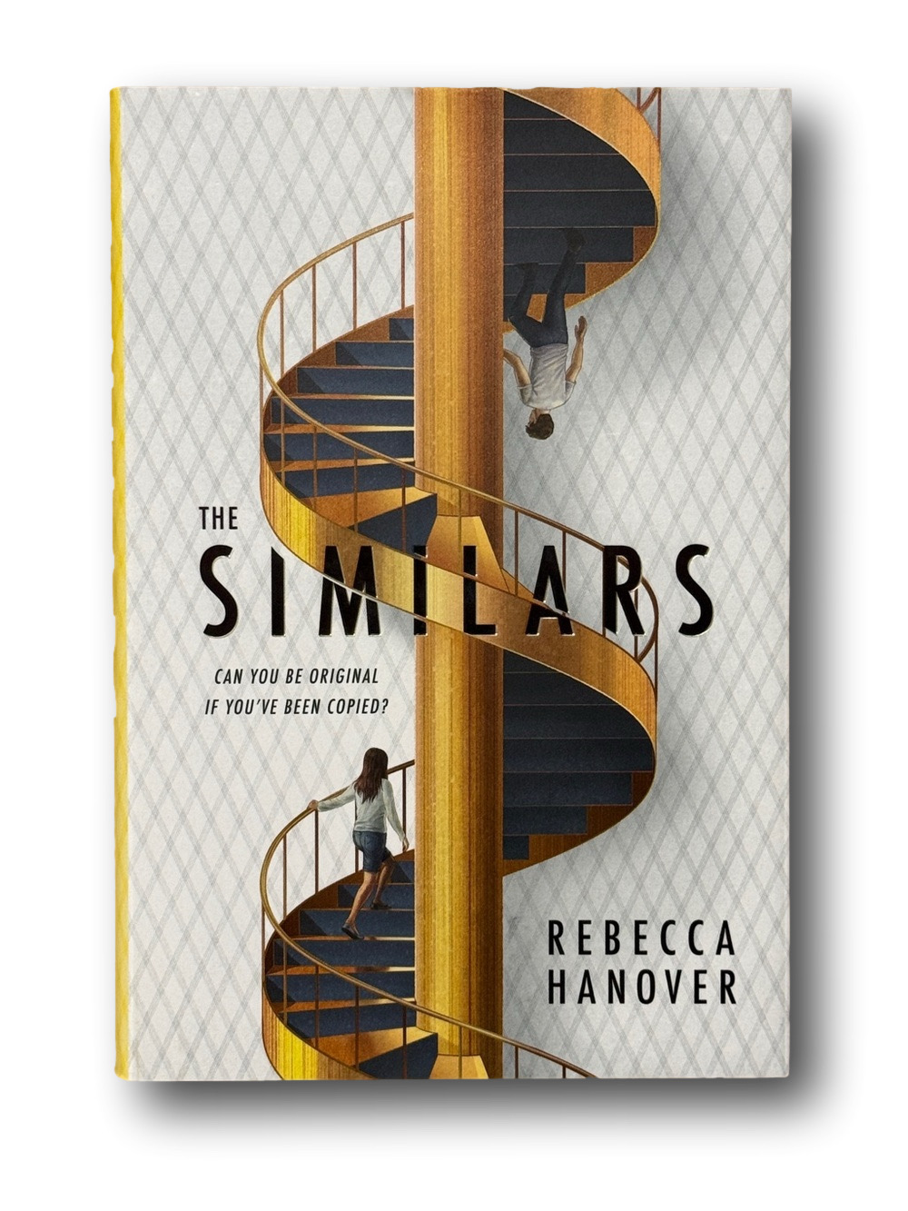 The Similars Book by Rebecca Hanover - NWT